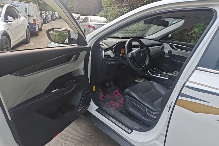 Used WM Motor EX5 2019 EX5 Mate Weymeng Edition 400 Driver Seat