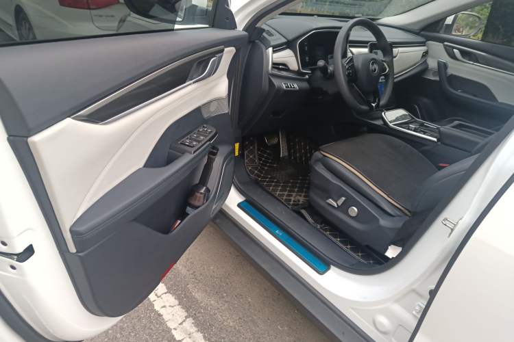 Used WM Motor EX5 2019 EX5 Lite Exploration Edition 520 Driver Seat