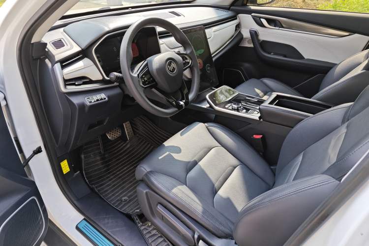 Used WM Motor EX5 2019 EX5 Mate Weymeng Edition 400 Driver Seat