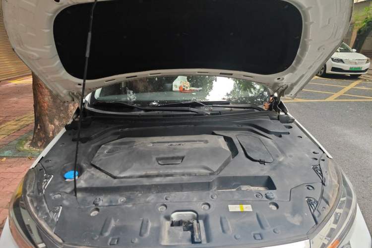 Used WM Motor EX5 2019 EX5 ZhiXing 2.0 Extra Innovation Edition 400 Engine Bay