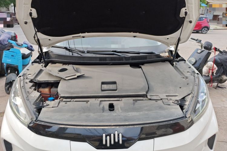Used WM Motor EX5 2019 EX5 Mate Weymeng Edition 400 Engine Bay