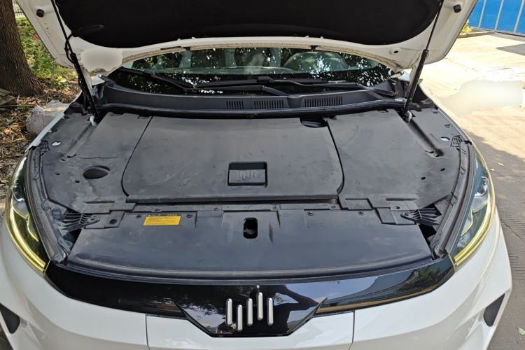 Used WM Motor EX5 2019 EX5 Lite Exploration Edition 400 Engine Bay
