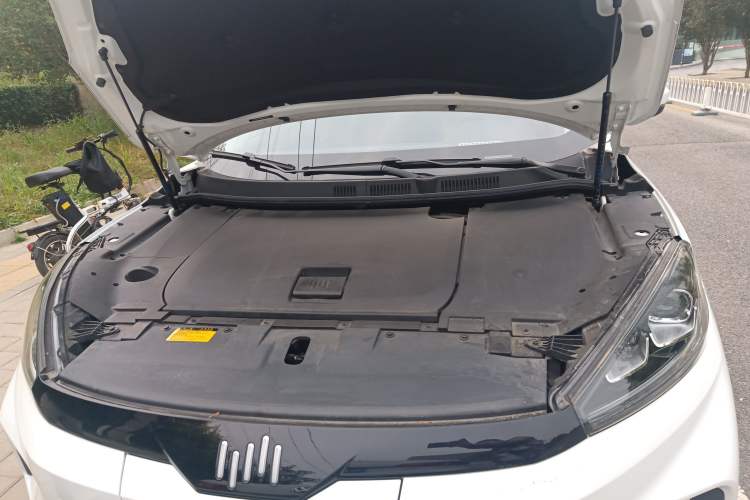Used WM Motor EX5 2019 EX5 Lite Exploration Edition 520 Engine Bay