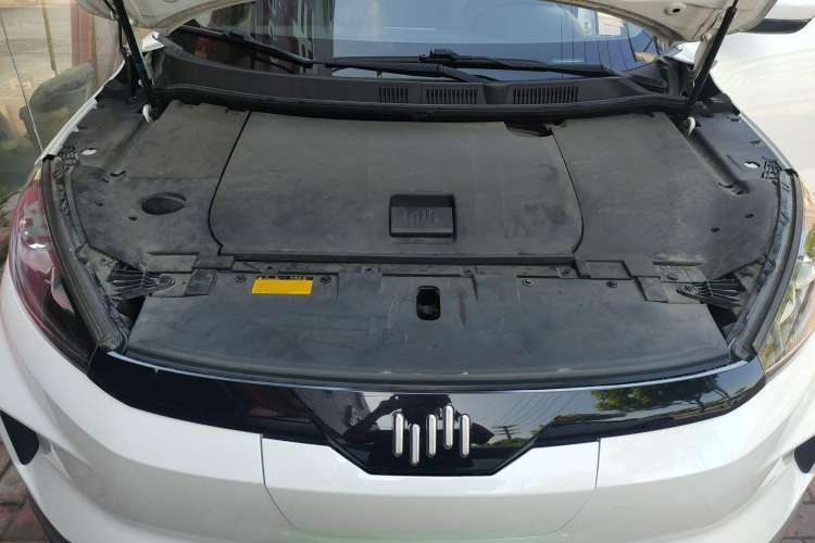 Used WM Motor EX5 2019 EX5 Mate Weymeng Edition 400 Engine Bay