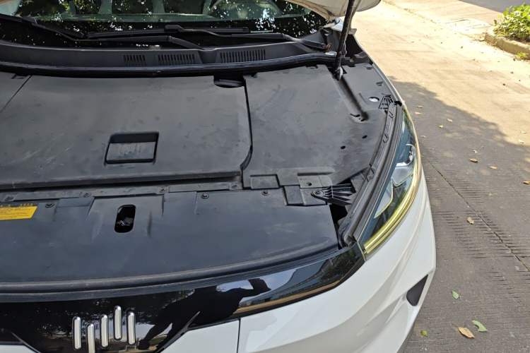 Used WM Motor EX5 2019 EX5 Lite Exploration Edition 400 Engine Bay Left