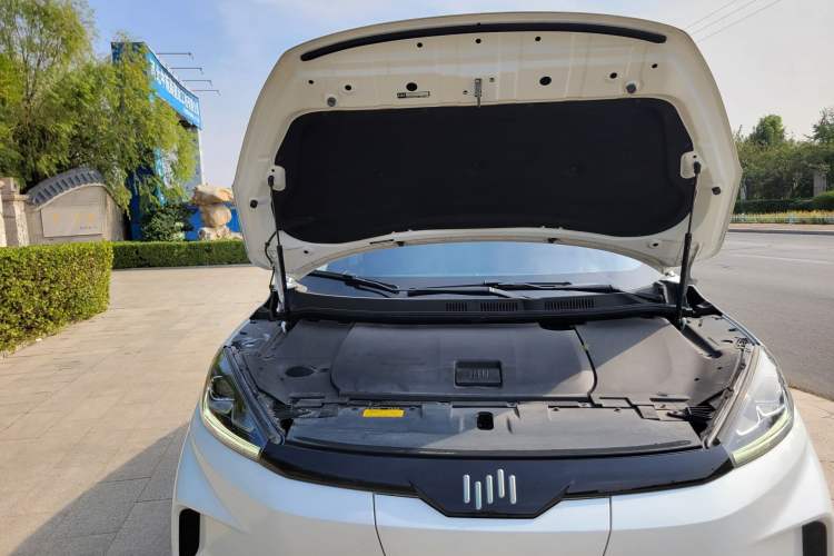 Used WM Motor EX5 2019 EX5 Lite Exploration Edition 520 Engine Bay