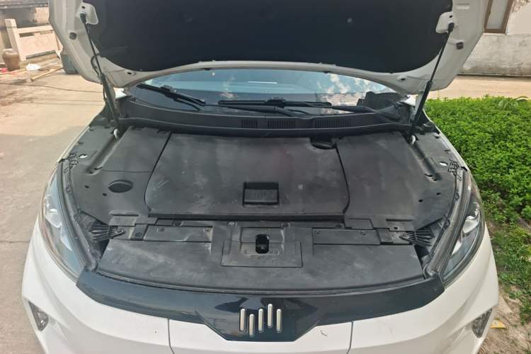 Used WM Motor EX5 2019 EX5 ZhiXing 2.0 Extra Innovation Edition 400 Engine Bay