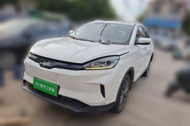 Used WM Motor EX5 2019 EX5 Mate Weymeng Edition 400