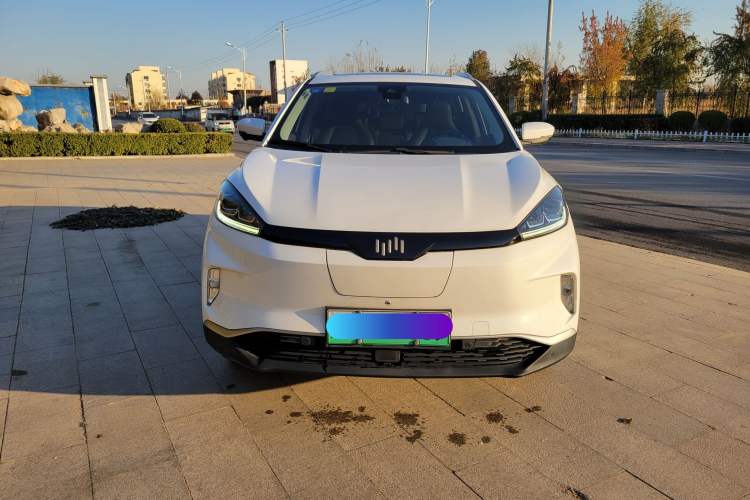 Used WM Motor EX5 2019 EX5 ZhiXing 2.0 Extra Innovation Edition 400 Exterior 1