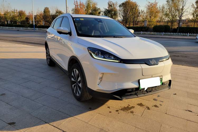 Used WM Motor EX5 2019 EX5 ZhiXing 2.0 Extra Innovation Edition 400 Exterior 2
