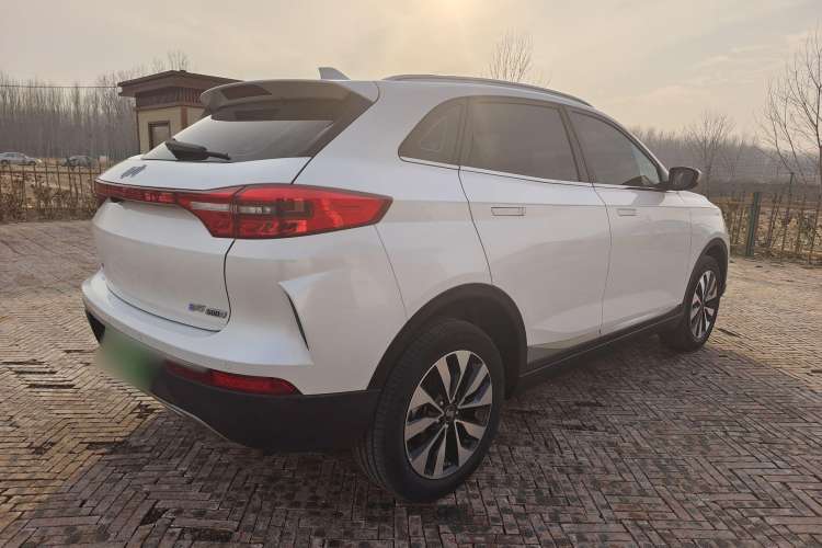 Used WM Motor EX5 2019 EX5 Lite Exploration Edition 520 Exterior 6