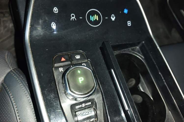 Used WM Motor EX5 2019 EX5 Mate Weymeng Edition 400 Gear Lever
