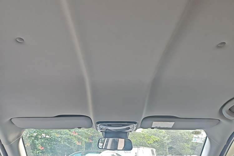 Used WM Motor EX5 2019 EX5 Mate Weymeng Edition 400 Headliner