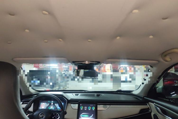 Used WM Motor EX5 2019 EX5 Mate Weymeng Edition 400 Headliner