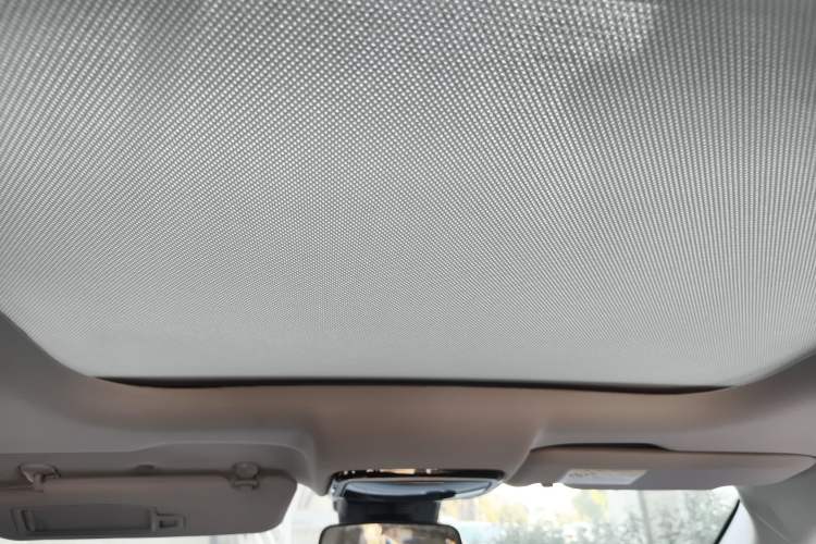 Used WM Motor EX5 2019 EX5 Lite Exploration Edition 400 Headliner