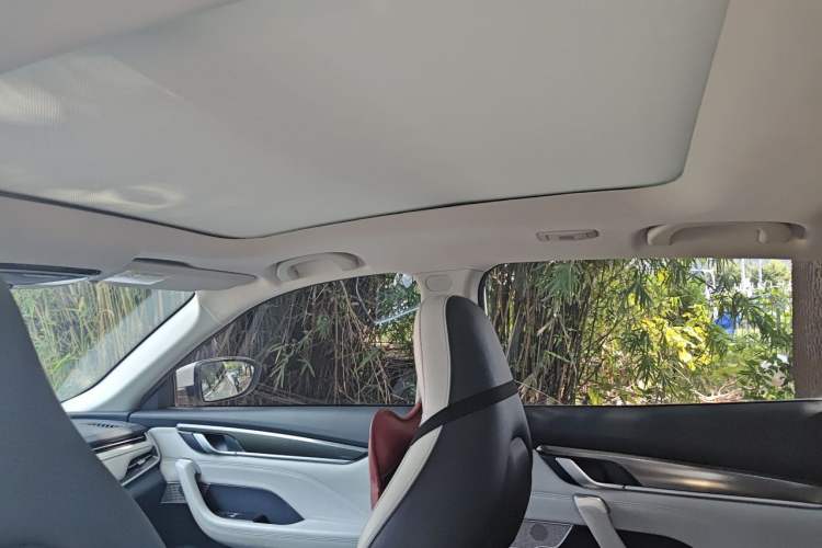 Used WM Motor EX5 2019 EX5 Lite Exploration Edition 400 Headliner