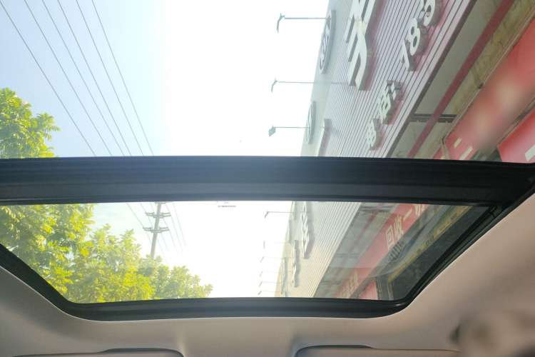 Used WM Motor EX5 2019 EX5 Mate Weymeng Edition 400 Headliner