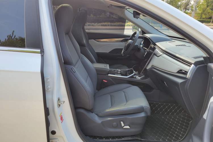 Used WM Motor EX5 2019 EX5 Lite Exploration Edition 520 Interior 11