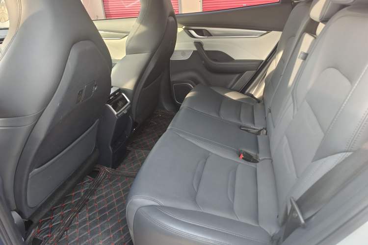 Used WM Motor EX5 2019 EX5 Lite Exploration Edition 520 Interior 3