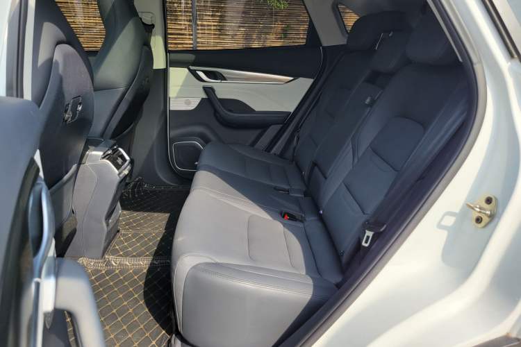 Used WM Motor EX5 2019 EX5 Lite Exploration Edition 520 Interior 7