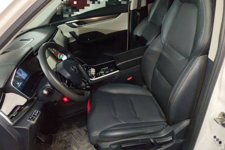 Used WM Motor EX5 2019 EX5 Mate Weymeng Edition 400 Left Front Seat