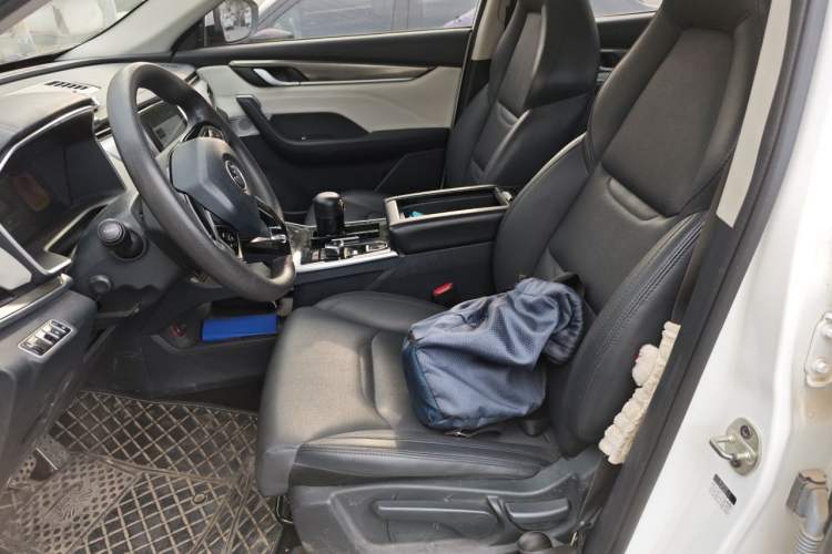 Used WM Motor EX5 2019 EX5 Mate Weymeng Edition 400 Left Front Seat