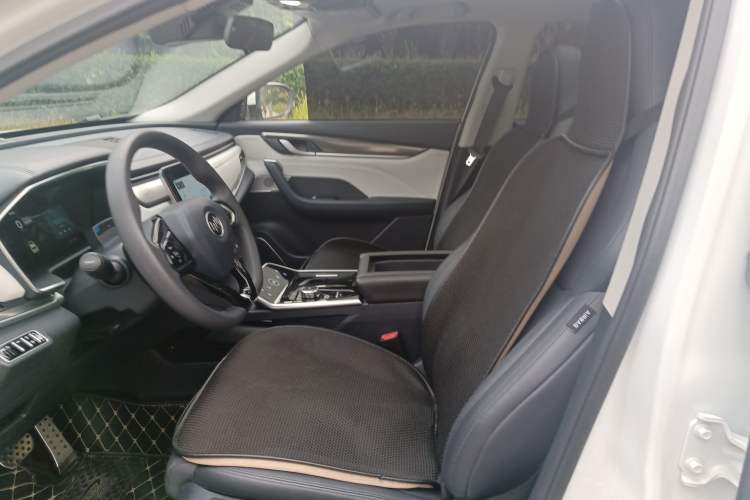 Used WM Motor EX5 2019 EX5 Lite Exploration Edition 520 Left Front Seat