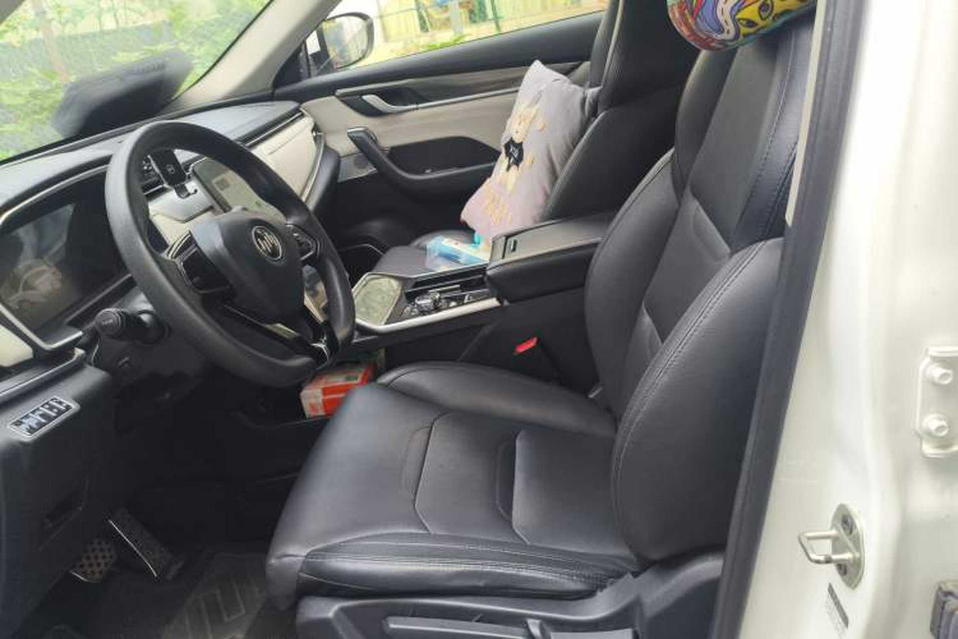 Used WM Motor EX5 2019 EX5 Mate Weymeng Edition 400 Left Front Seat