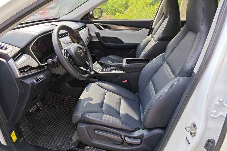 Used WM Motor EX5 2019 EX5 Mate Weymeng Edition 400 Left Front Seat