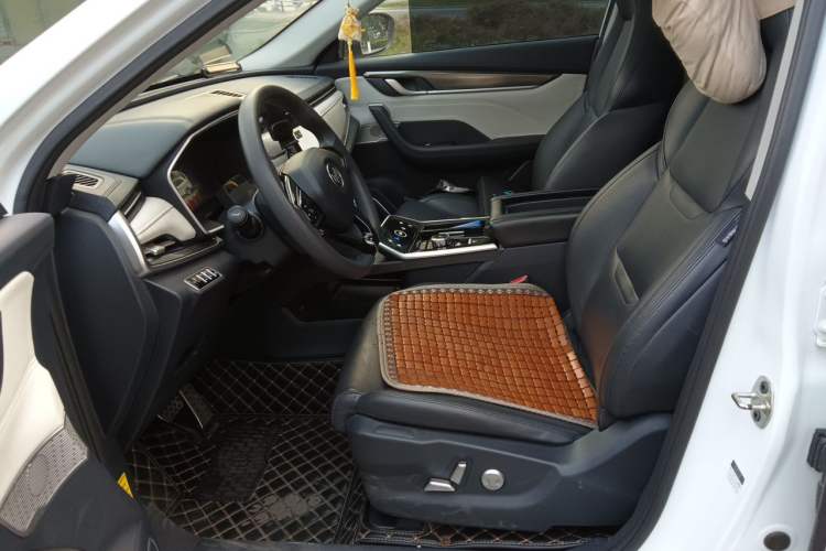 Used WM Motor EX5 2019 EX5 Extra Innovation Edition 400 Left Front Seat