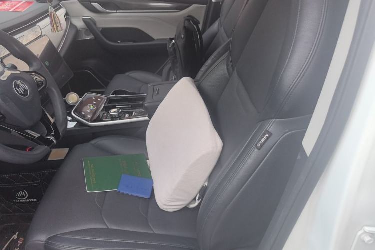 Used WM Motor EX5 2019 EX5 Lite Exploration Edition 520 Left Front Seat