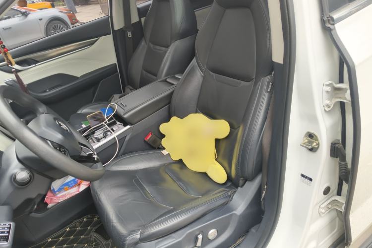 Used WM Motor EX5 2019 EX5 Lite Exploration Edition 400 Left Front Seat