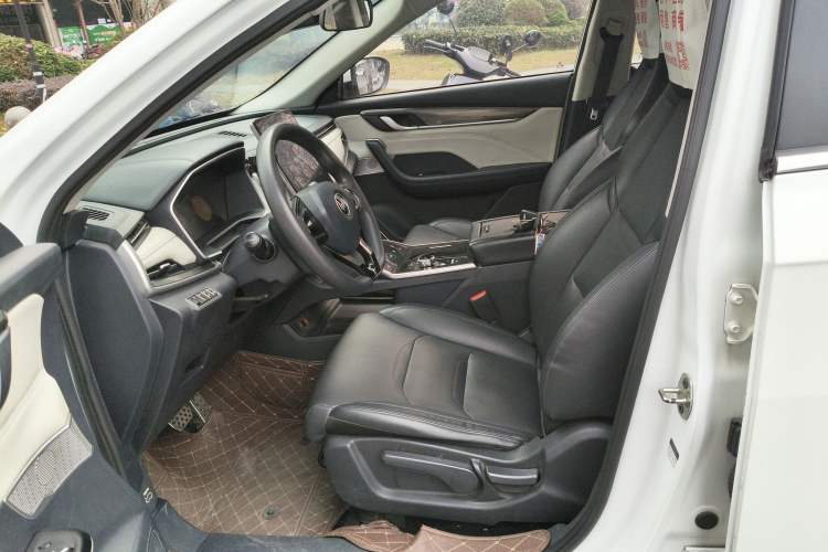 Used WM Motor EX5 2019 EX5 Mate Weymeng Edition 400 Left Front Seat