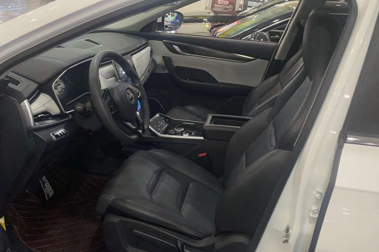 Used WM Motor EX5 2019 EX5 Mate Weymeng Edition 400 Left Front Seat