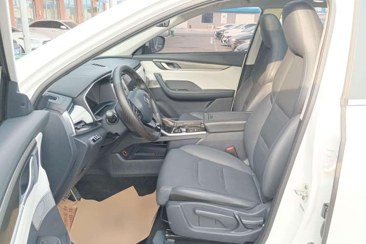 Used WM Motor EX5 2019 EX5 Mate Weymeng Edition 400 Left Front Seat