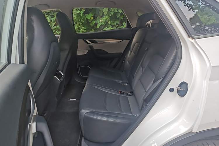 Used WM Motor EX5 2019 EX5 Mate Weymeng Edition 400 Left Rear Seat