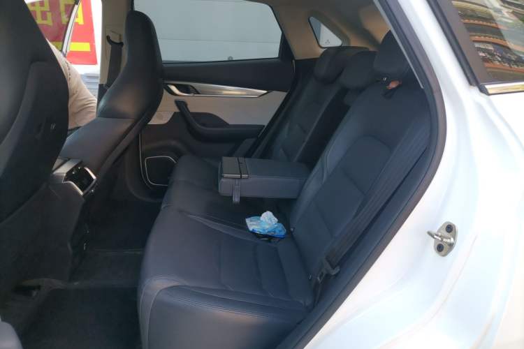Used WM Motor EX5 2019 EX5 Mate Weymeng Edition 400 Left Rear Seat