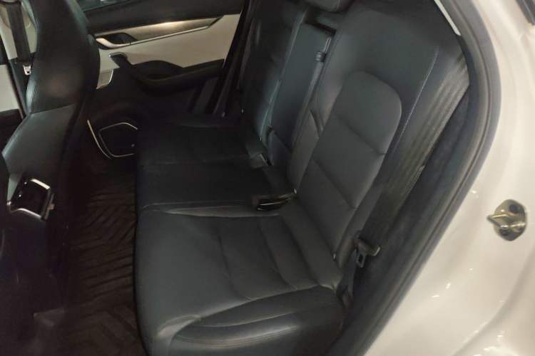 Used WM Motor EX5 2019 EX5 Mate Weymeng Edition 400 Left Rear Seat