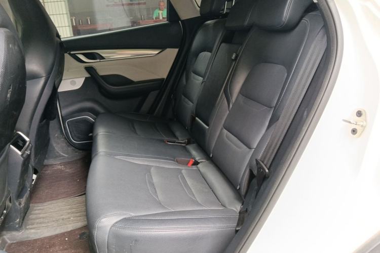 Used WM Motor EX5 2019 EX5 Zhixing 2.0 Lite Exploration Edition 400 Left Rear Seat