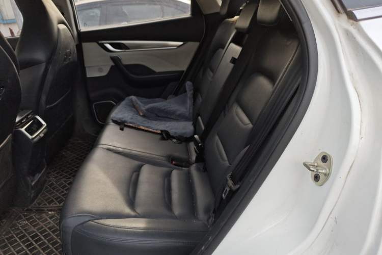 Used WM Motor EX5 2019 EX5 Mate Weymeng Edition 400 Left Rear Seat