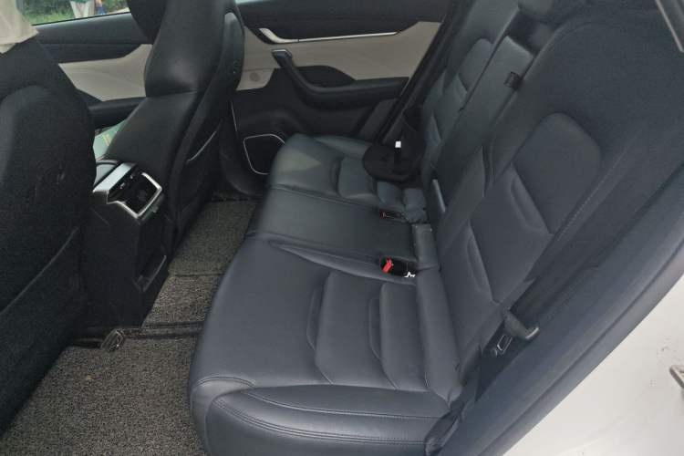 Used WM Motor EX5 2019 EX5 Lite Exploration Edition 400 Left Rear Seat