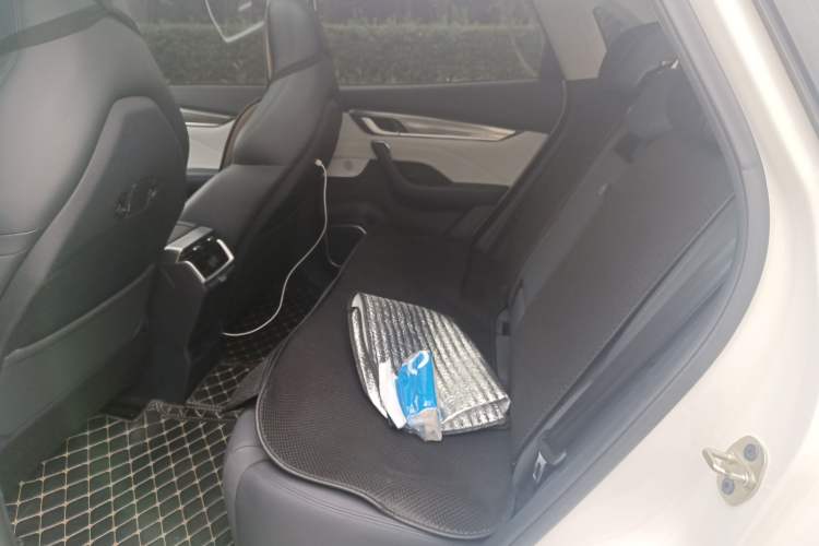 Used WM Motor EX5 2019 EX5 Lite Exploration Edition 520 Left Rear Seat
