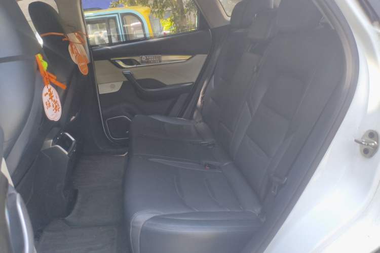 Used WM Motor EX5 2019 EX5 Mate Weymeng Edition 400 Left Rear Seat
