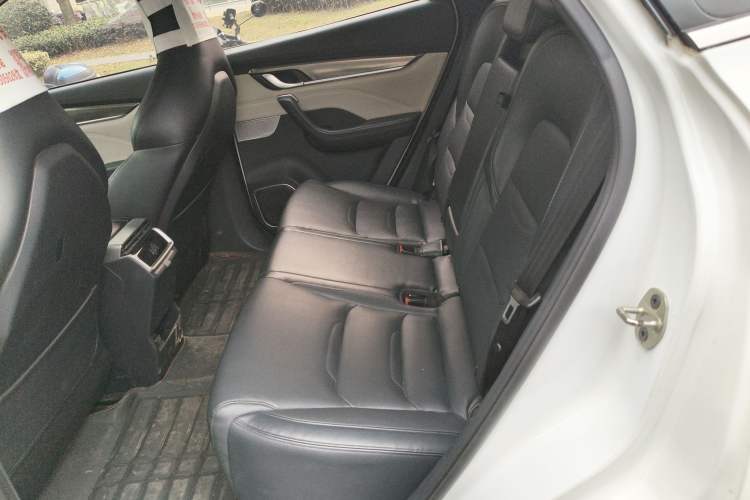 Used WM Motor EX5 2019 EX5 Mate Weymeng Edition 400 Left Rear Seat