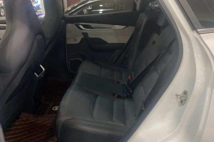 Used WM Motor EX5 2019 EX5 Mate Weymeng Edition 400 Left Rear Seat