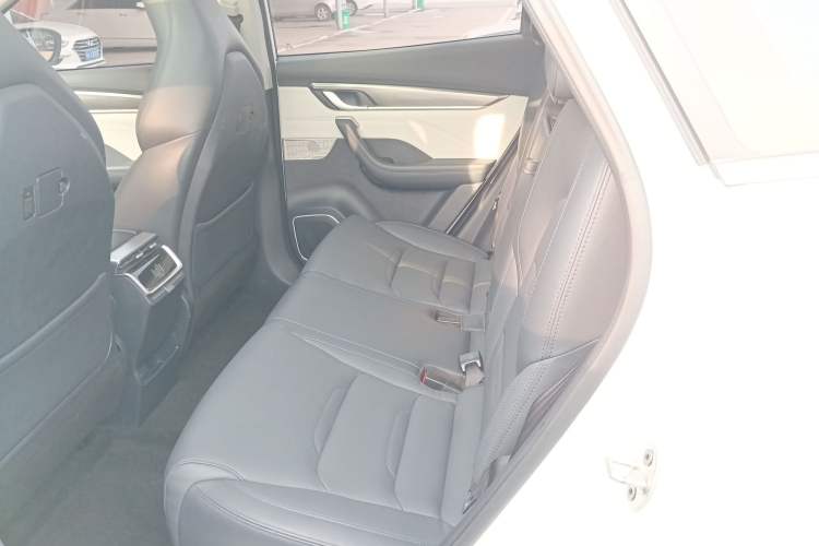 Used WM Motor EX5 2019 EX5 Mate Weymeng Edition 400 Left Rear Seat