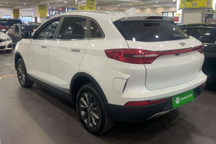 Used WM Motor EX5 2019 EX5 Mate Weymeng Edition 400 Left Side