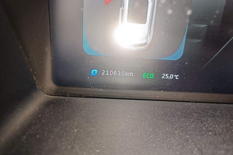 Used WM Motor EX5 2019 EX5 Mate Weymeng Edition 400 Odometer Close Up