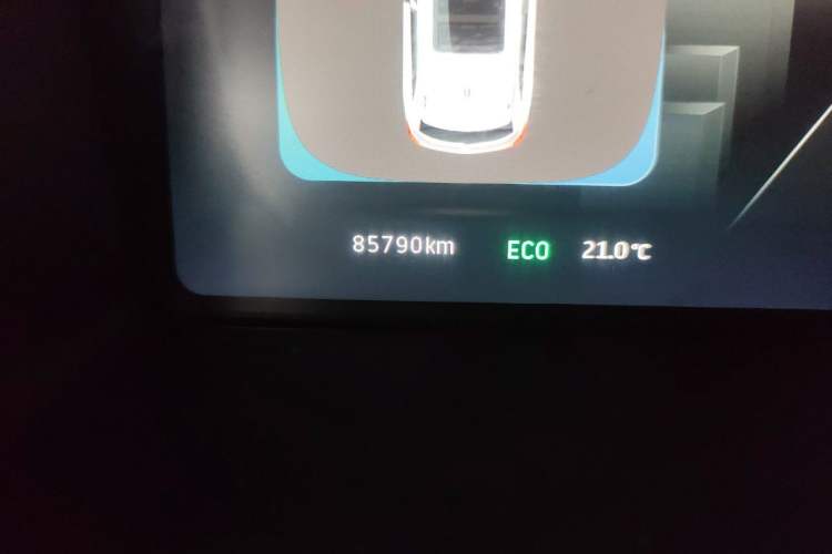 Used WM Motor EX5 2019 EX5 Mate Weymeng Edition 400 Odometer Close Up