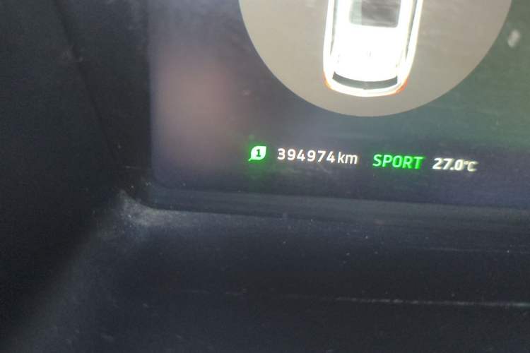 Used WM Motor EX5 2019 EX5 Mate Weymeng Edition 400 Odometer Close Up
